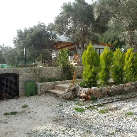 Mountain Hut 1 Akyaka Gokova מוגלה